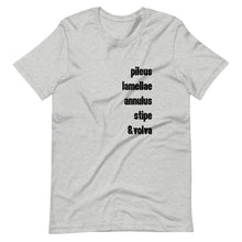 Load image into Gallery viewer, Mushroom Identification T-shirt in a casual athletic grey color