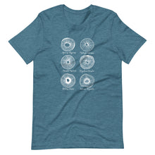 Load image into Gallery viewer, Spore prints mycologist t-shirt design