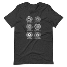 Load image into Gallery viewer, mycologist t-shirt in spore prints design