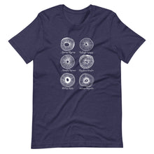 Load image into Gallery viewer, mycologist spore prints design t-shirt in blue
