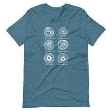 Load image into Gallery viewer, Spore prints mycologist t-shirt design
